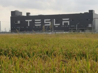 狼真來了！特斯拉上海工廠投產，國產Model 3下線，十個月創奇跡，三季度盈利——對中國新能源市場的深遠影響